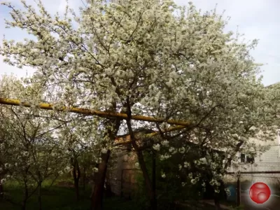 Продам участок
