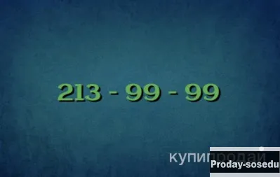 Прямой городской номер Мотив, Услуги и предложения, Другое