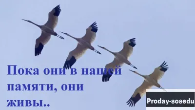 Фильм памяти о смерти