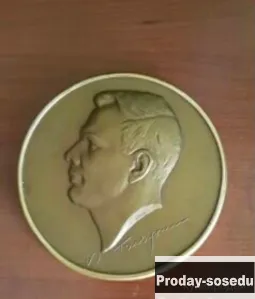 Плакетка настенная ю а Гагарин лмд винтаж, Хобби, Отдых, Спорт, Коллекции, Жетоны, медали, значки, М...